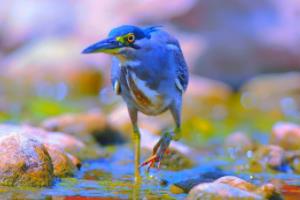 装修正确顺序步骤表