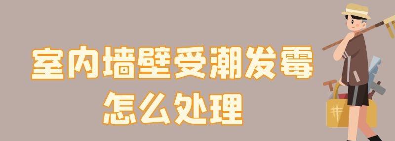 室内墙壁受潮发霉怎么处理