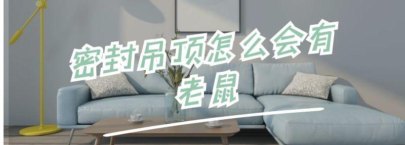 密封吊顶怎么会有老鼠