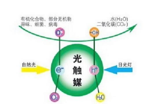 新房子除甲醛方法有哪些